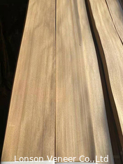 सीधे अनाज एल्म लकड़ी लिबास प्राकृतिक मोटाई 0.50 मिमी